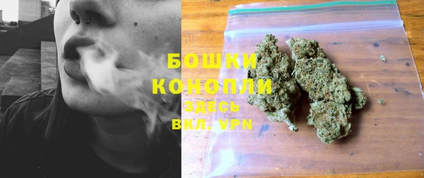 шишки Богданович