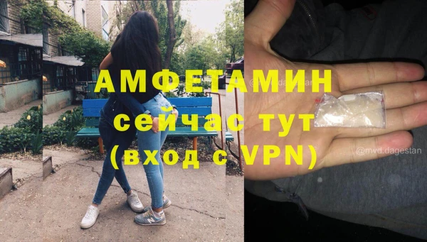 шишки Богданович