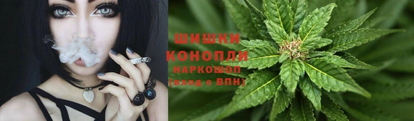 дмт Богородицк