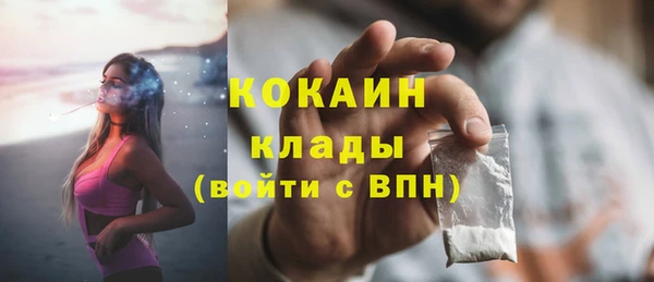 дмт Богородицк