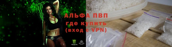 шишки Богданович