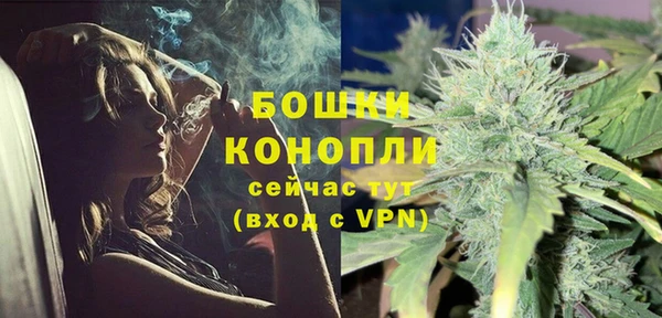 шишки Богданович