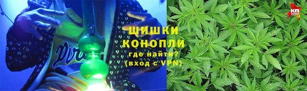 дмт Богородицк