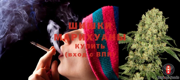 шишки Богданович