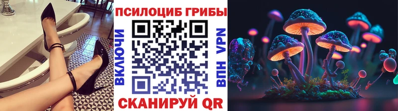 Псилоцибиновые грибы прущие грибы  Сланцы 